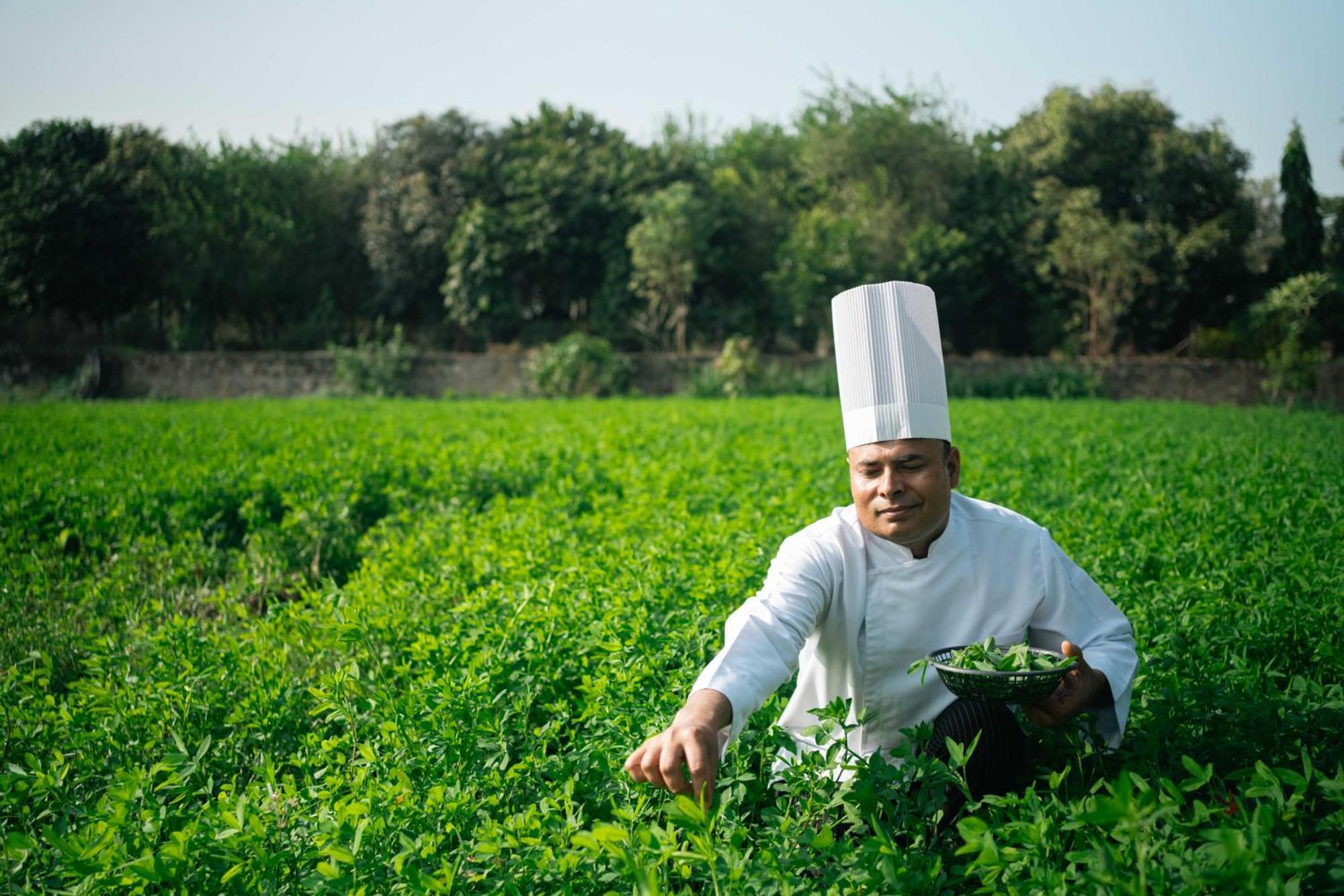 Abhyaran Resort & Spa Ranthambore 萨瓦伊马多普尔 外观 照片