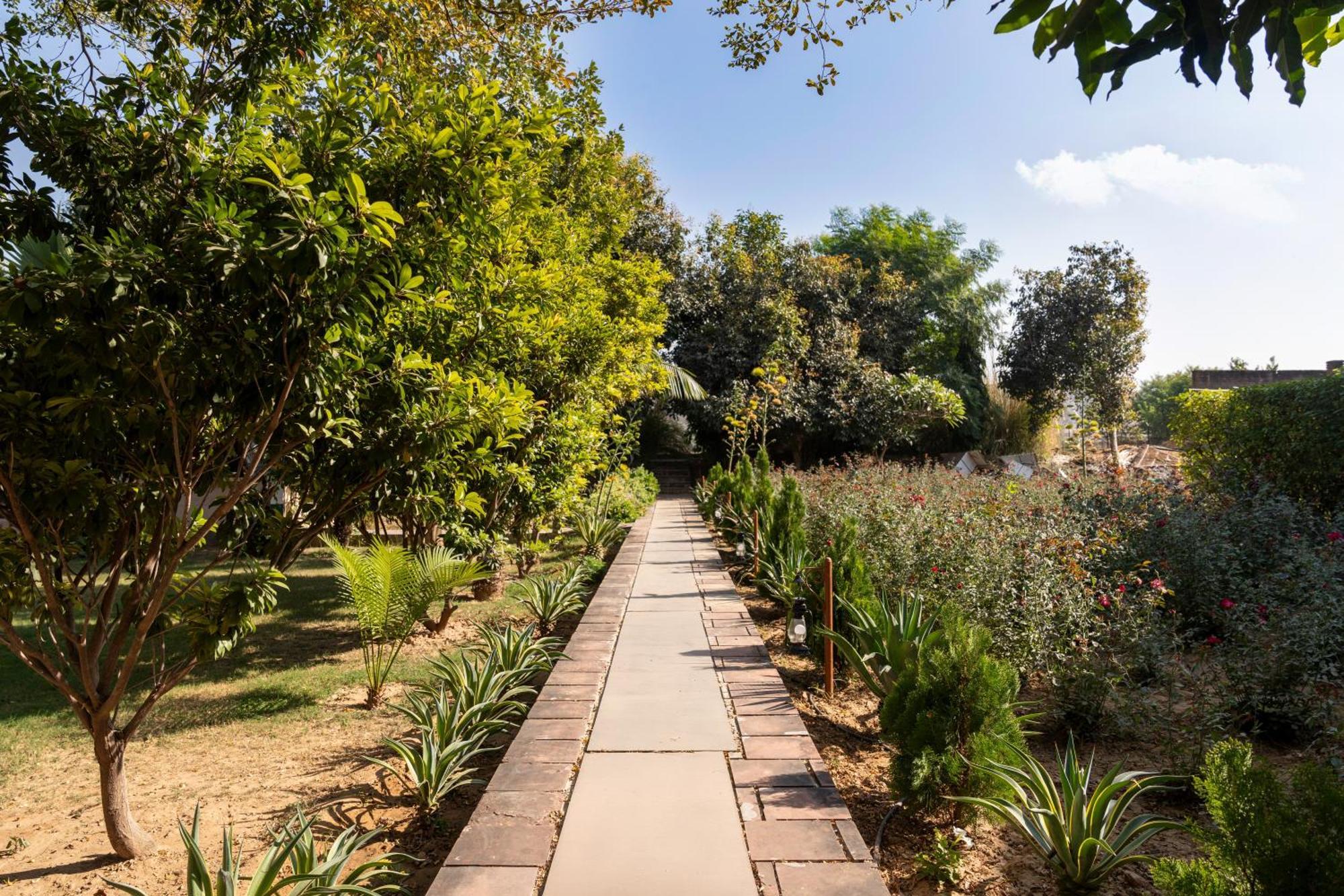 Abhyaran Resort & Spa Ranthambore 萨瓦伊马多普尔 外观 照片